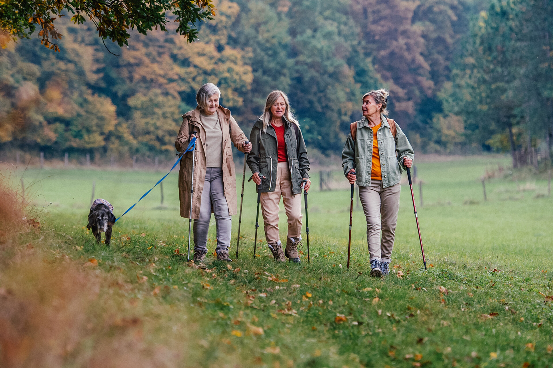 Wandelen 4 2web