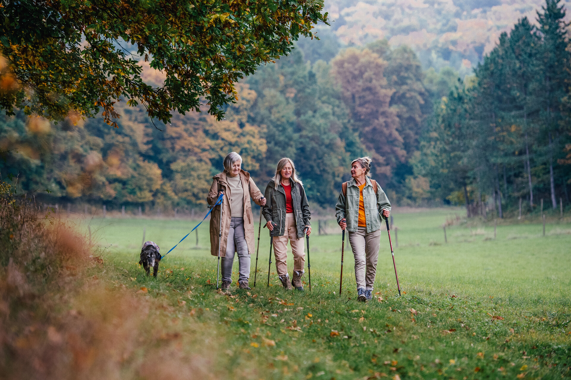 Wandelen 4 web